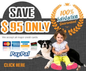Our Special Offers